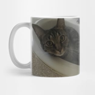 Sink Kitty Mug